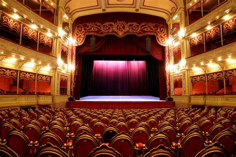 Il Teatro Amazonas: Un gioiello architettonico nella giungla amazzonica!