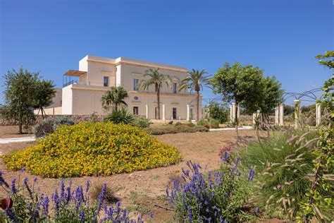  Il Giardino Botanico: Un'Oasi di Tranquillità nel Cuore Frenetico di Leticia