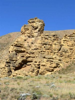 La Foresta di Pietra: Un enigma geologico e una porta verso il passato!