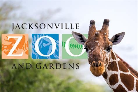 Il Jacksonville Zoo & Gardens: Un'Oasi di Fauna e Flora nella Cuore della Florida!