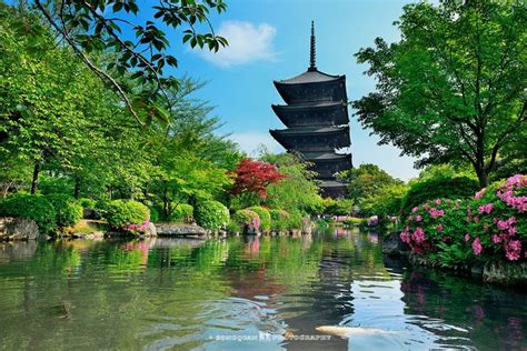 Il Toji-in: Un Monastero Zen E La Serenità Di Una Cascata Nascosta!